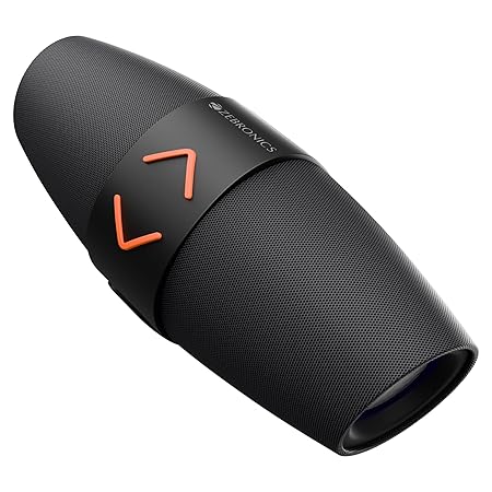 ZEBRONICS Sound Feast 55, Portable Bluetooth Speaker, 14 Watts, 10 Hours Playback, Dual 5.7 cm Drivers, Dual Passive Radiator, Call Function, RGB, Bluetooth v5.3 | TWS | USB | mSD | AUX, Deep Bass (Black)